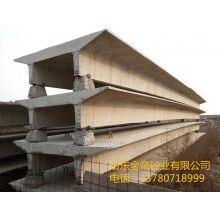 加工混凝土雙T板，大型預(yù)應(yīng)力雙T板，山東雙T板